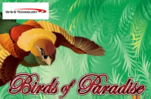 Birds Of Paradise